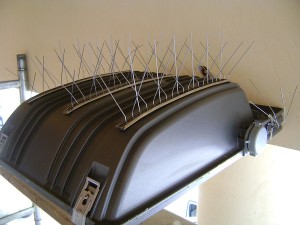 dissuasori a punta per luci esterne