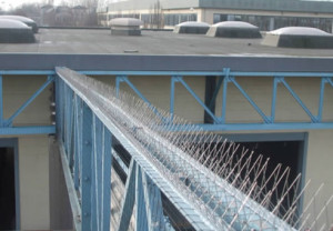 dissuasori per cornicioni