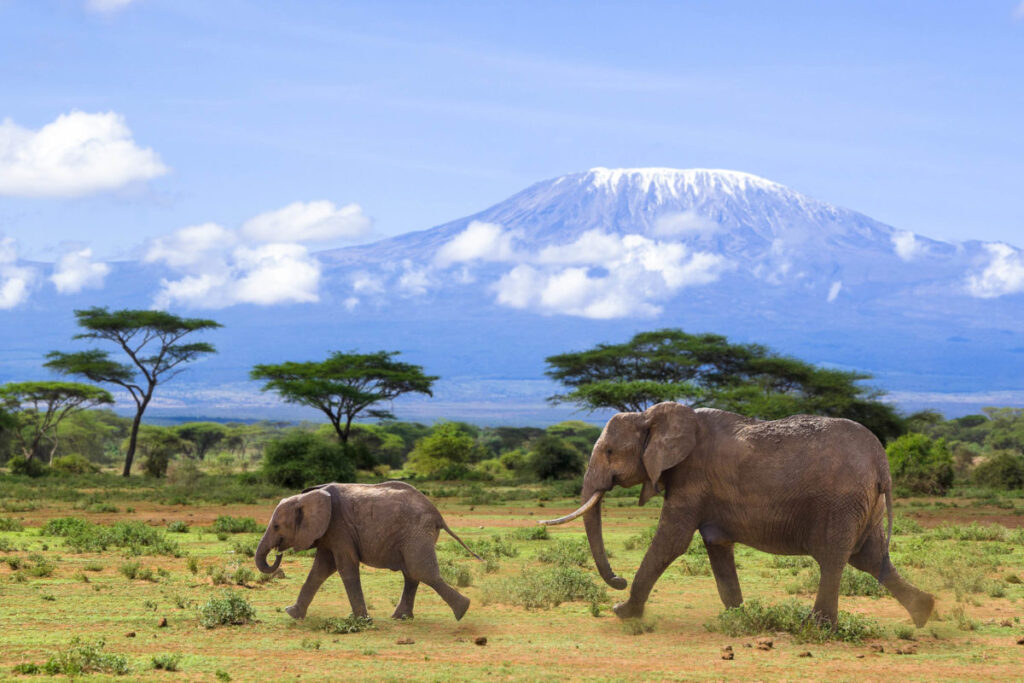 turismo in tanzania